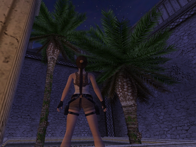 Date palms