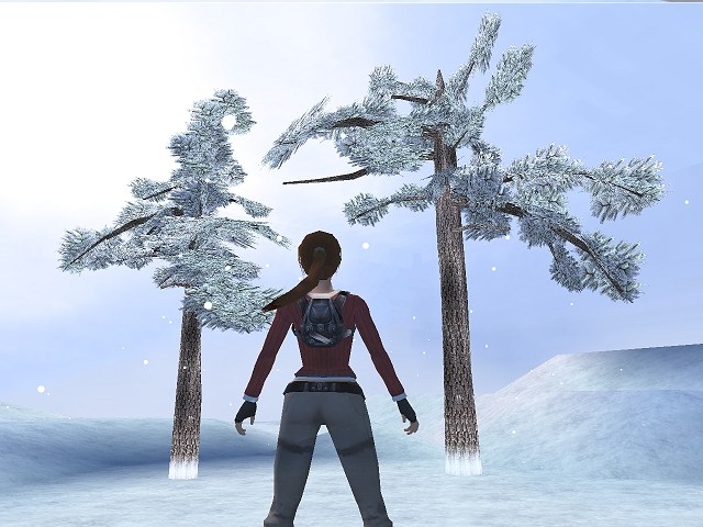 Snowy pines